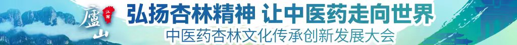 黑丝网站站长中医药杏林文化传承创新发展大会
